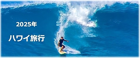 2025年ハワイ旅行バナー画像